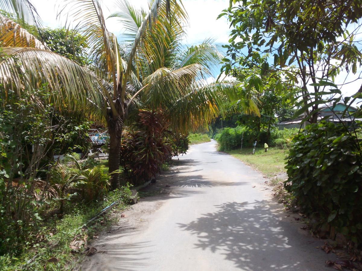 Pandan Beach Homestay Kampong Pandan Bagian luar foto