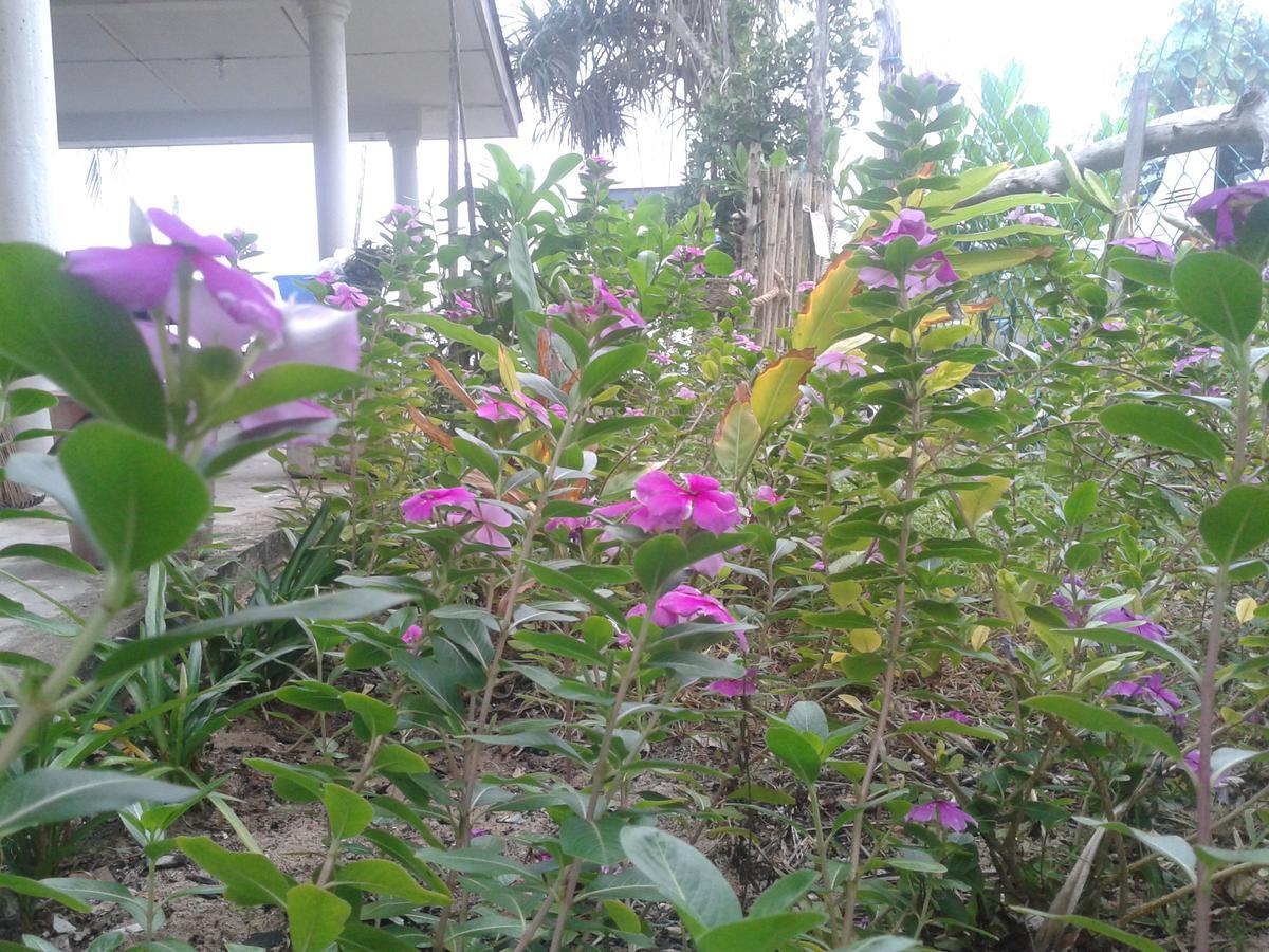 Pandan Beach Homestay Kampong Pandan Bagian luar foto